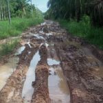 Jalan Rusak Parah Bak Kubangan Kerbau Jadi Sorotan.