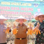 Wabup Hadiri Panen Raya Di Marga Tiga Lamtim