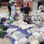 Polres Buru Dan Dirjen PH.DLH Beserta Kehutanan Berhasil Bongkar Kontainer Berisikan Bahan Kimia B3.