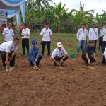 Launcing Cassava Patnersihip Kerjasama Budi Daya Singkong PT. Umas Jaya Dan Masyarakat Mesuji.