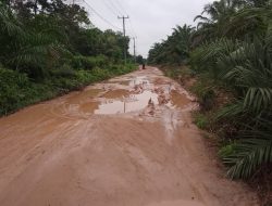 Warga Geram Jalan Penghubung Antara Dusun Menang Mulya dan Dusun Benil Rusak Berat.