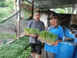 Tiyuh Marga Sari Tubaba,Realisasikan Program Dana Desa Tahun 2024