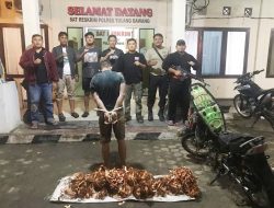 Polisi Tangkap Pelaku Spesialis Curat Kabel PLN,Pelaku Merupakan DPO dan Residivis.