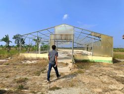 Masyarakat Pertanyakan Uang Hasil Panen Lahan Unit Produksi Benih Rawa Jitu.